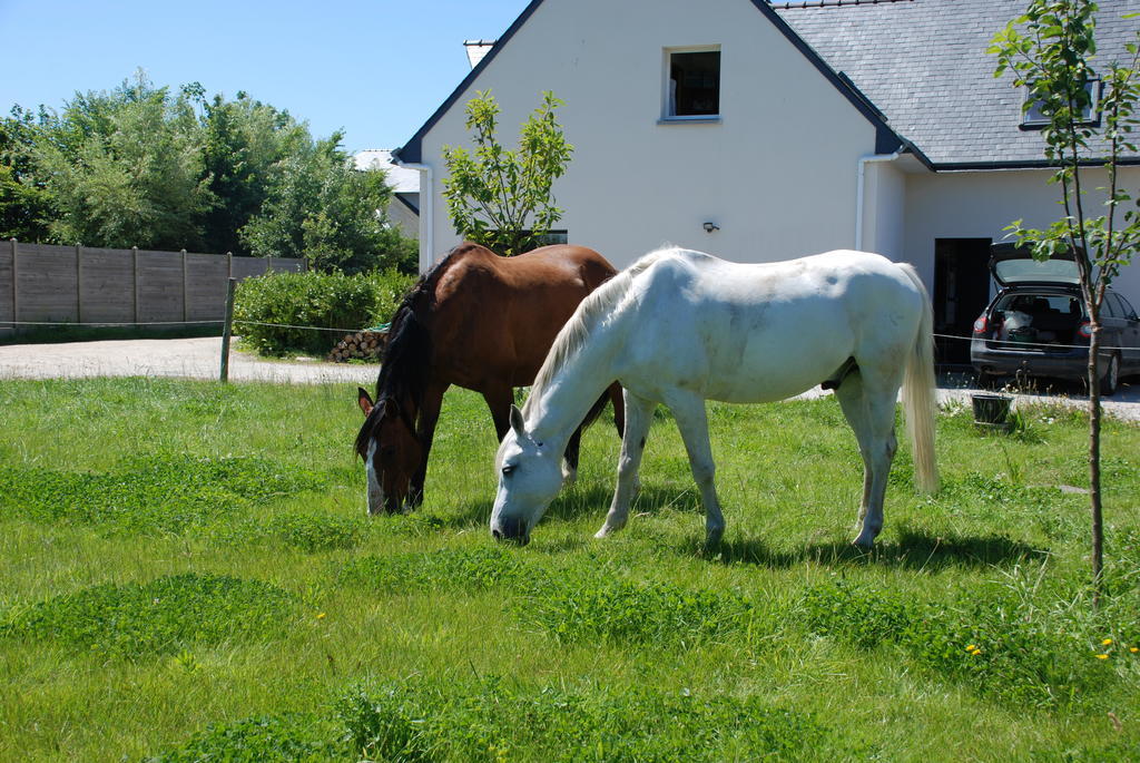Roulotte Gites O Bien-Etre Massage Spa Sejour Bien-Etre En Hebergement Insolite Roulotte Karantez Ou En Gites Melon Ou Yock A 800 M Des Plages Maison D'Hote Drogou Porspoder Camera foto